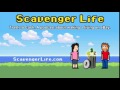 Scavenger Life Episode 188: Why there's no "get rich quick" eBay or Amazon system