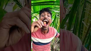 Makan Serba Chupa Chups