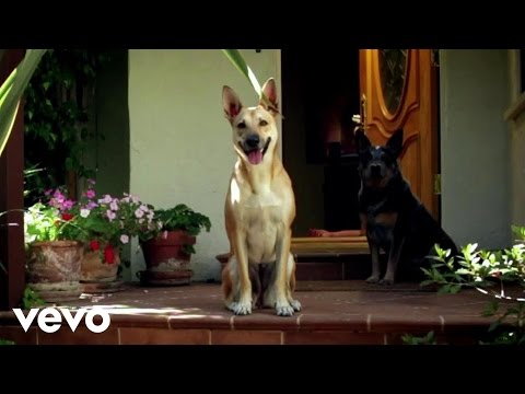 Delorean - Real Love