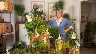 Easter Basket Landscape // Southern Living Plant Collection