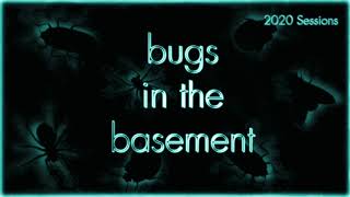Bugs In The Basement - Eristalis Tenax aka The Drone Fly