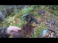 A Step Back In Time Search For Grandpa S Cabin A Step Back In Time Search For Grandpa S Cabin