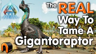 Ark Gigantoraptor Taming Real That Works