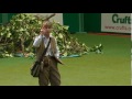 Gundog Display - Philippa Williams - Levenghyl Gundogs - Crufts 2012