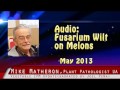 "Fusarium Wilt on Melons"  Mike Matheron051513