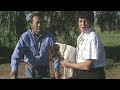 CanadaPets Video Series - Tri Tronics Hold Command for Bird Dogs Part 1 of 6