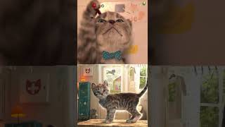 Kids Stories Best Educational Preschool Videos For Toddlers