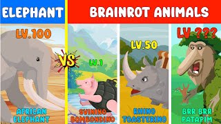Zoochosis Gorilla Vs Tung Tung Tung Sahur Elephant Vs Brainrot Level Challenge Animal Animation