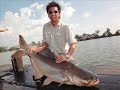 45 kg Giant Siamese Carp Fishing Bungsamrun In Thailand By BKKGUY !!