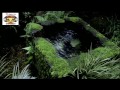 view Transcending Dimensions