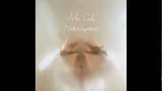 Watch John Cale Things video
