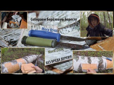 Как заготовить кору березы для поделок 67