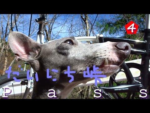 Pass『大日峠』静岡の林道 (20 ...