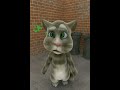 Talking Tom Cat