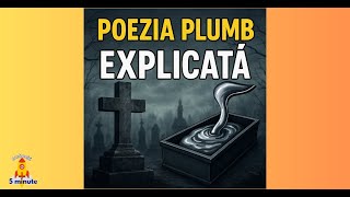 Explicatie Rapida - Poezia Plumb