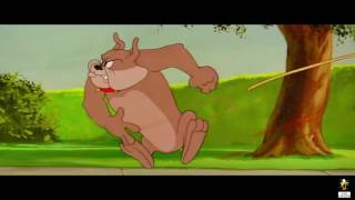 Tom And Jerry - Pet Peeve - Episode 88 - Tom And Jerry Cartoon Iukeitv