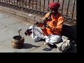 Snake Charmer