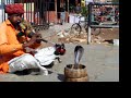 Snake Charmer