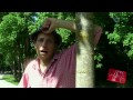Sex mit nem Bayern - Axel Fischer (offizieller Videoclip)