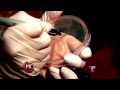 Encuentran bacterias en ropa interior femenina (VIDEO)