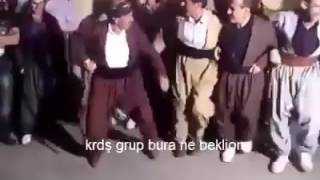 Hunharca Dans Eden Dayilar