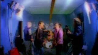 Watch MXPX Money Tree video