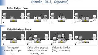 Perspectives on Moral Judgment. Part 2: Innate moral senses; the Remak seminar award.