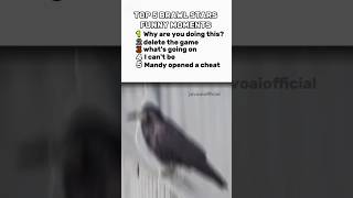 Like And Comment