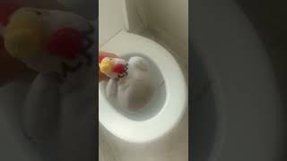 Penny Ate Too Many Strawberries And She Has To Go To Poop