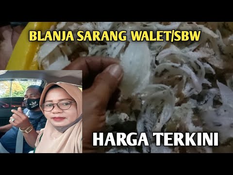 Harga terkini sarang walet sudut 7 juta 18 oktober