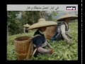 Eco 13 May 2013