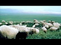 صالح بو خشيم جبرتيني وانتي السبب