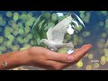 Korda  György - Fehér galamb - La paloma blanca
