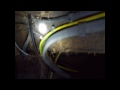 woodworm