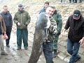 11 Smu Ijada Sremska Mitrovica Nikola Bundalo Vadi Soma Od images 11 Smu Ijada Sremska Mitrovica Nikola Bundalo Vadi Soma Od