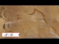 Alien Complex Found On Mars? 2014 HD Available