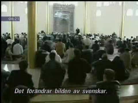 Swedish Muslim Immigration Problem