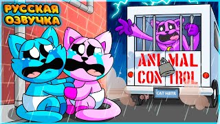Кэтнапа Схватили?! - Gametoons Анимация | Catnap Is Taken?! На Русском | Freelan Show
