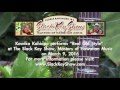 Kawika Kahiapo "Real Old Style" at Maui's Slack Key Show