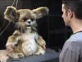 Leonardo: The most expressive robot in the world today!