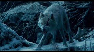Wolves Beauty And The Beast 2017 Growls, Snarls, Barks, Whimpers, Whines And Howls