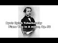 Pyotr Ilyich Tchaikovsky's Piano Trio in A minor　「偉大な芸術家の思い出」