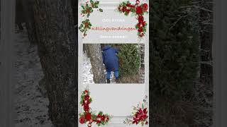 Adventskalender på gotländska lucka 23