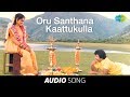 Ellame En Rasathan | Oru Santhana song | Rajkiran