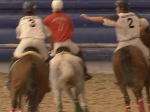 Horseball