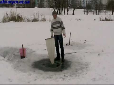 Корм для аквариумных рыб видео Корм для аквариумных рыб видео