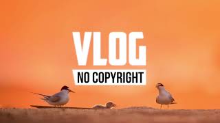 Alex Keeper - Can You Stay Vlog No Copyright Music