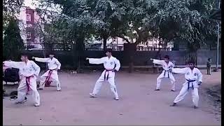 Taekwondo Barring Presented By Rutc...