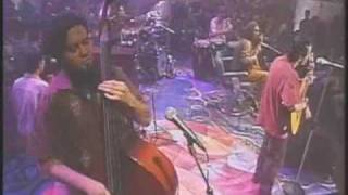 Watch Cafe Tacuba El Aparato video
