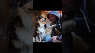Best Friend